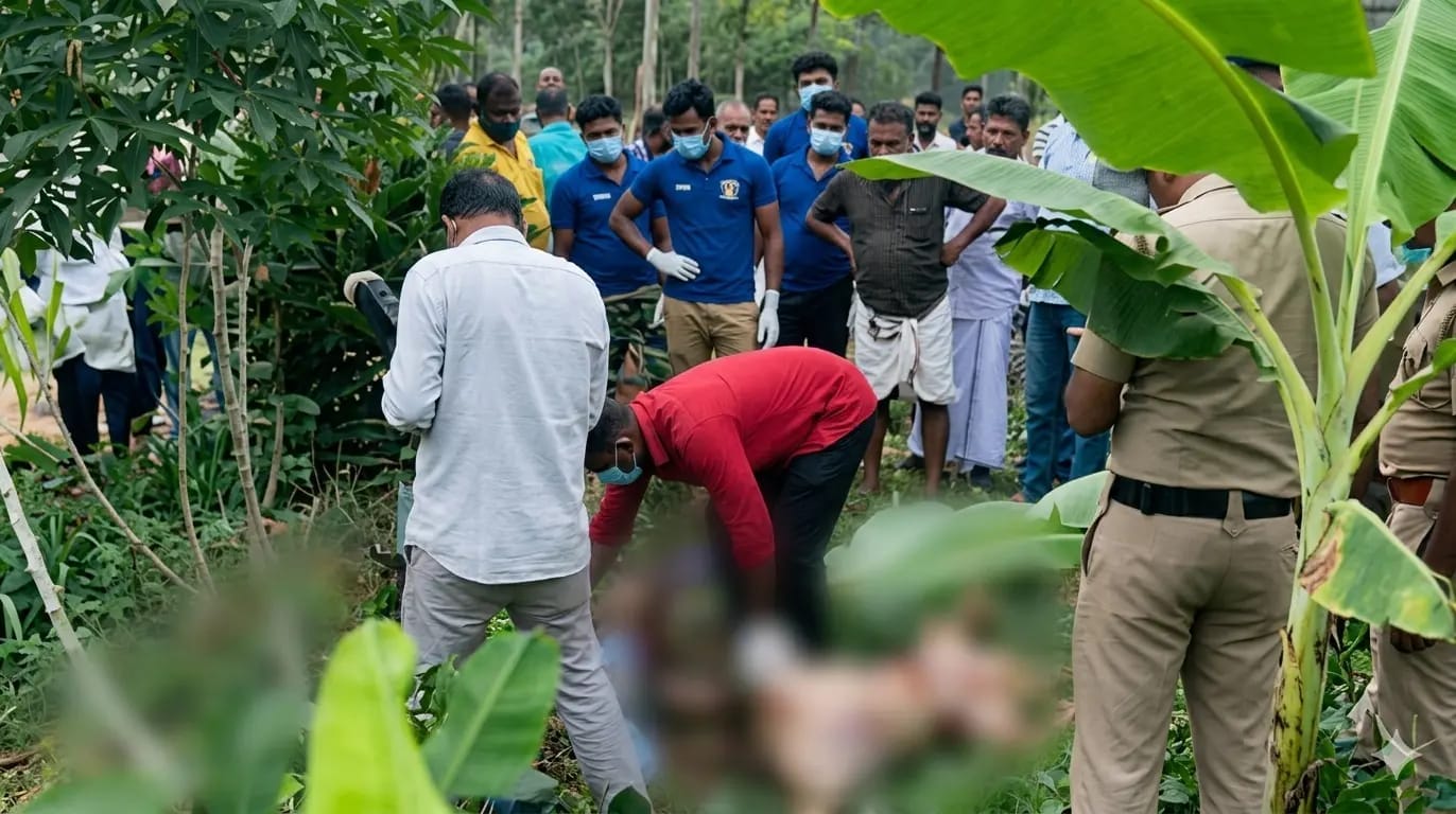 കാട്ടു പന്നി
