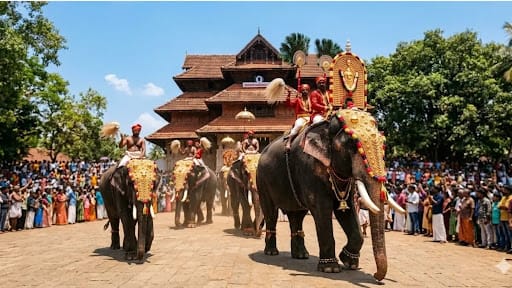 തൃശൂർ പൂരം ആനകളെ
