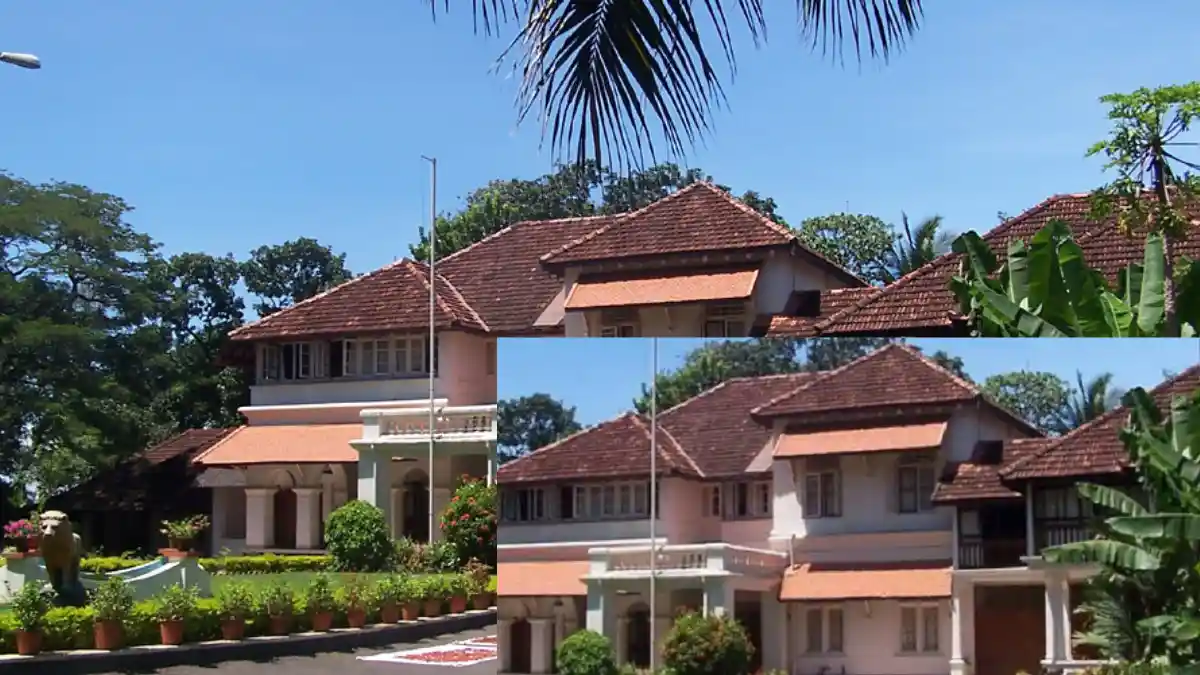 ക്ലിഫ് ഹൗസിലെ പശുക്കൾ