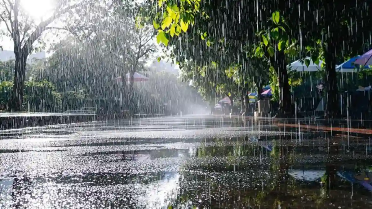 കേരളത്തിൽ ശക്തമായ മഴയ്ക്ക് സാധ്യത, Kerala Rain Update, Yellow Alert Kerala