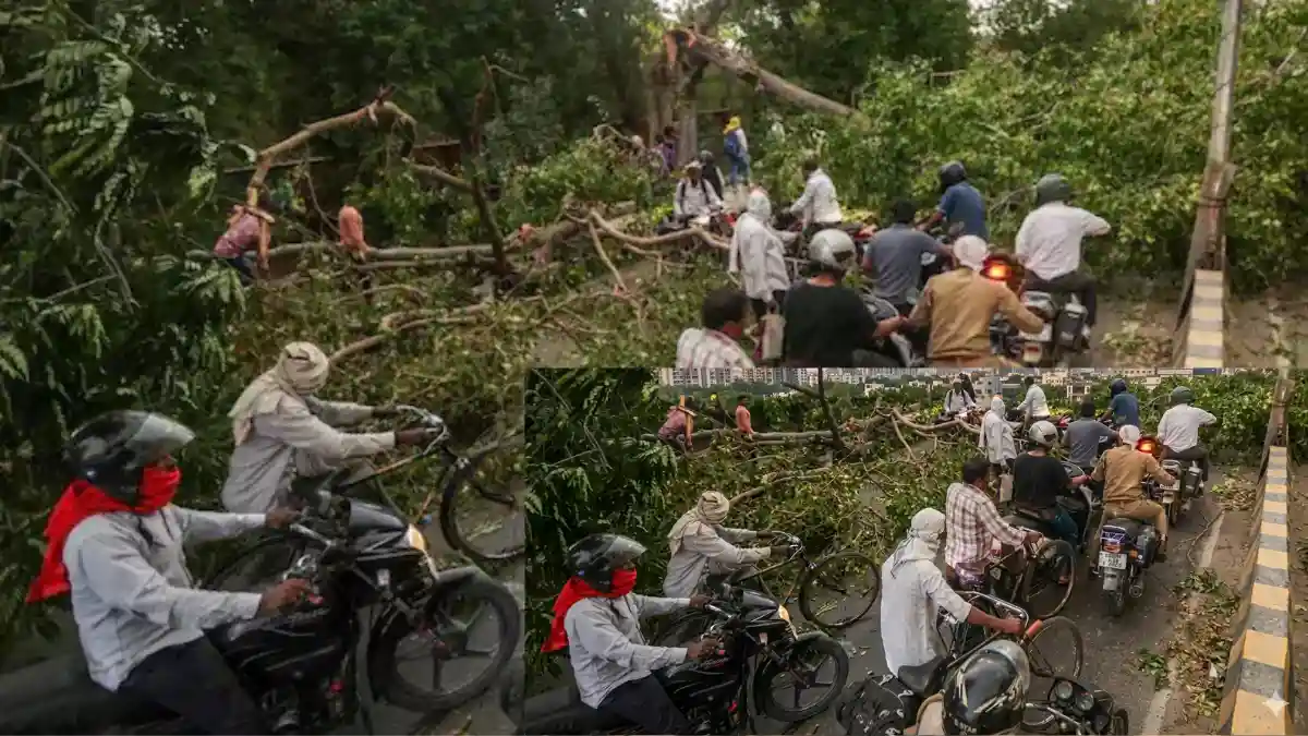 Uttar Pradesh Rain Death, UP Storm Victims, Natural Calamity India, UP Weather Update, National Disaster News.