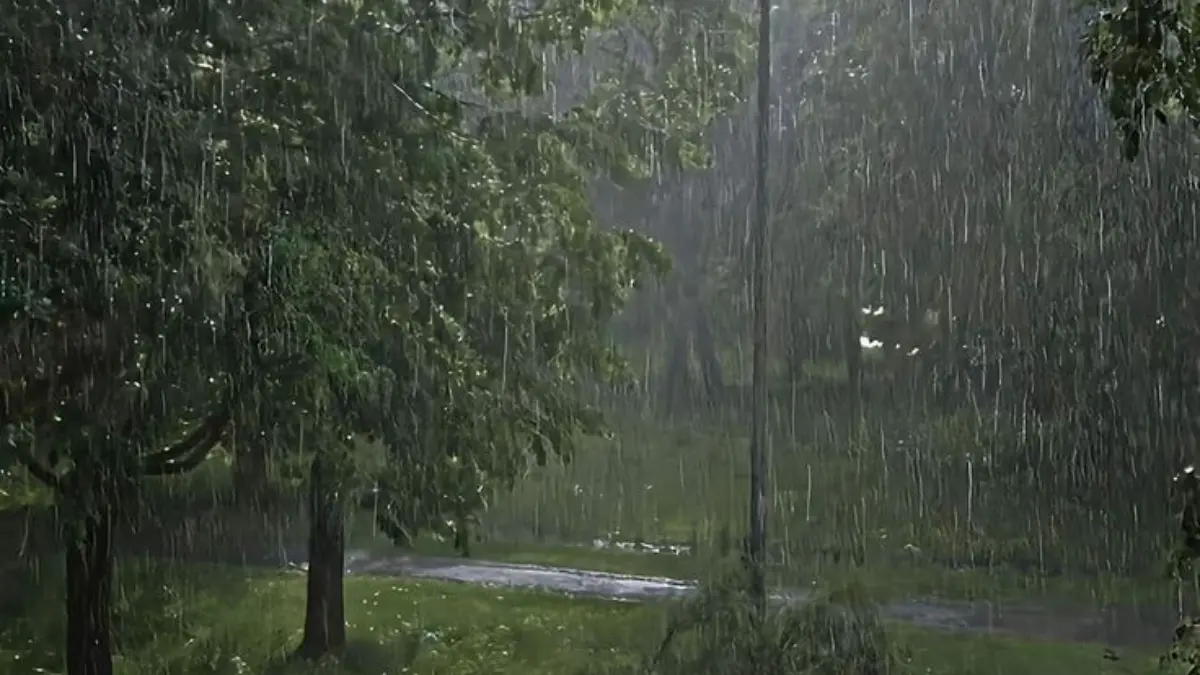 Kerala Rain Alert, Orange Alert Districts, Yellow Alert Kerala, IMD Weather Update, Monsoon Kerala 2026, Fishing Ban Kerala Coast.