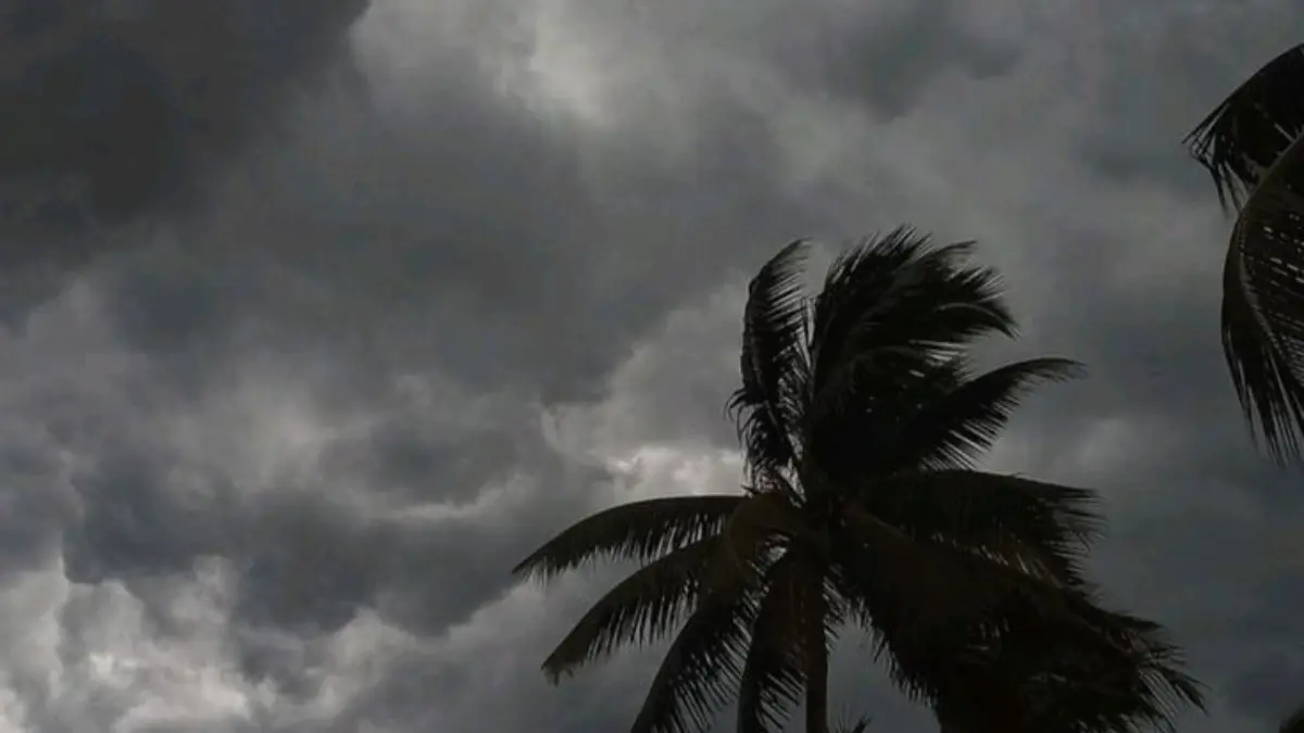 Kerala Rains Yellow Alert, Kerala Weather Forecast, IMD Yellow Alert Kerala, Summer Rain In Kerala, Monsoon Arrival Kerala 2026, Thundery Rain Warning Kerala.