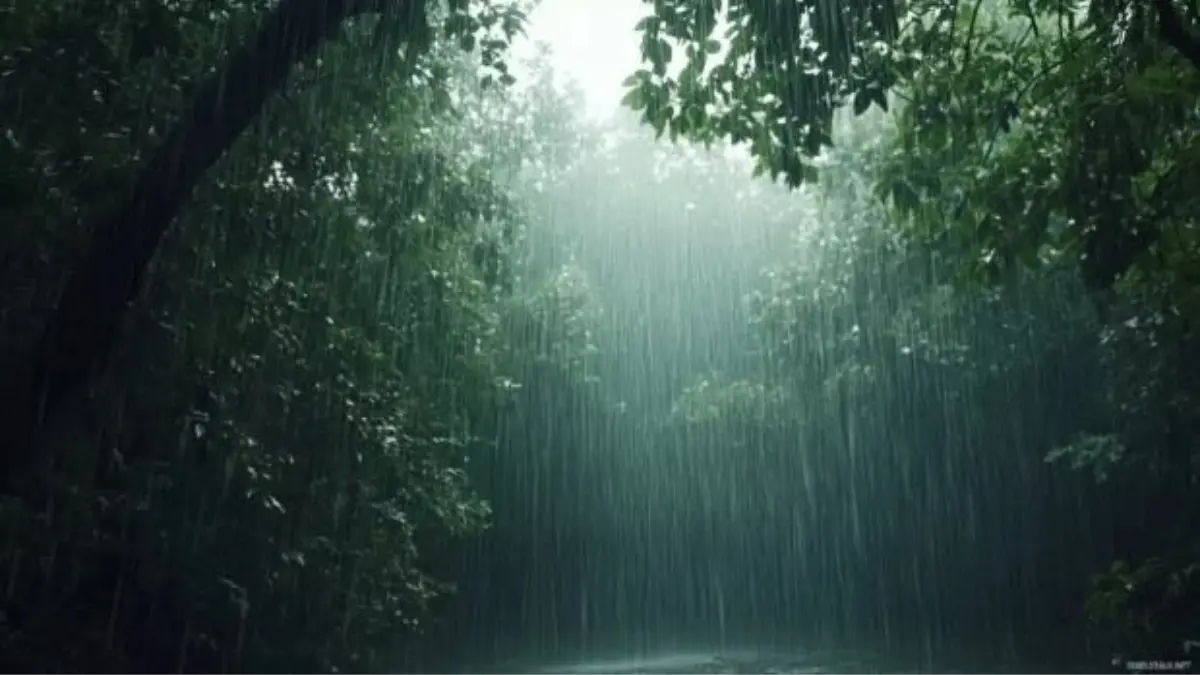 സംസ്ഥാനത്ത് മഴ കനക്കുന്നു, Kerala Rain Alert Today, Yellow Alert Districts Kerala, IMD Monsoon Updates Kerala, Disaster Management Cell Trivandrum.