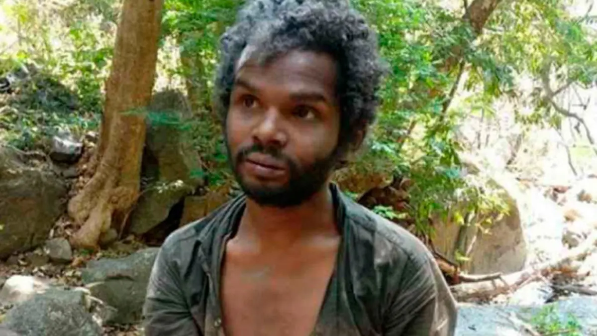 അട്ടപ്പാടി മധു കേസ് ഹൈക്കോടതി, ആദിവാസി മധു വധക്കേസ് വിധി, ജസ്റ്റിസ് ഡിവിഷൻ ബെഞ്ച് വിധി, കേരള ഹൈക്കോടതി വാർത്തകൾ, മണ്ണാർക്കാട് വിചാരണ കോടതി വിധി 2026