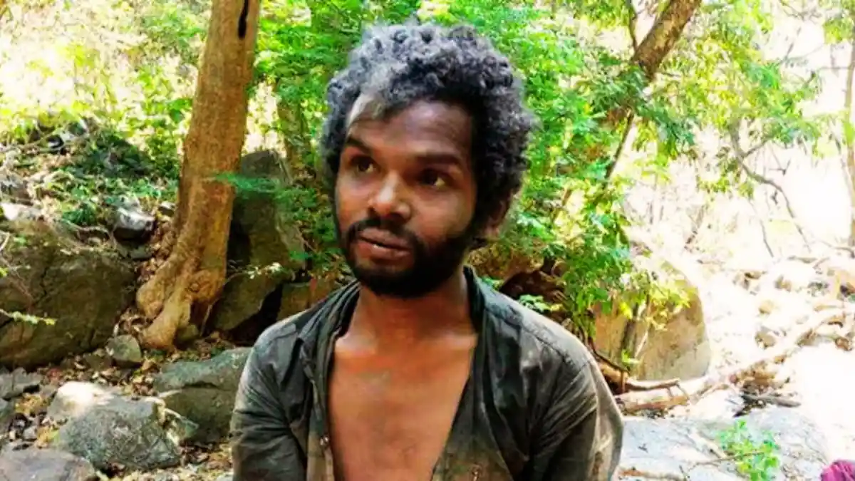 മധു വധക്കേസ്, ഹൈക്കോടതി വിധി, അട്ടപ്പാടി കൊലപാതകം, ആൾക്കൂട്ട ആക്രമണം, കേരള വാർത്തകൾ