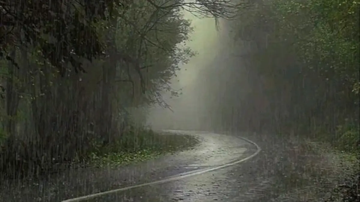 സംസ്ഥാനത്ത് മഴ കനക്കും, കേരള കാലാവസ്ഥ മുന്നറിയിപ്പ്, എട്ട് ജില്ലകളിൽ യെല്ലോ അലർട്ട്, വൺ ഡാറ്റാ മഴ റിപ്പോർട്ട്, ദുരന്തനിവാരണ അതോറിറ്റി ജാഗ്രത