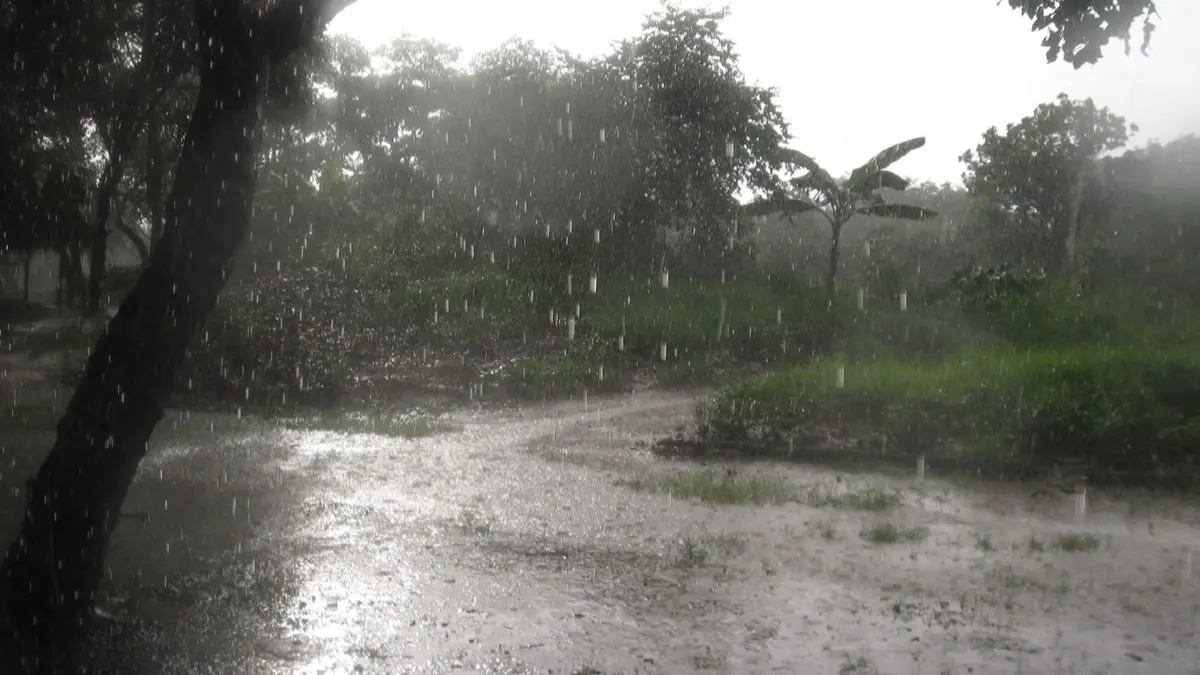 ഒന്‍പത് ജില്ലകളില്‍ യെലോ അലര്‍ട്ട്, Kerala Heavy Rain Update, Early Monsoon Arrival Kerala, IMD Yellow Alert District, Kerala Coastal Sea Warning.