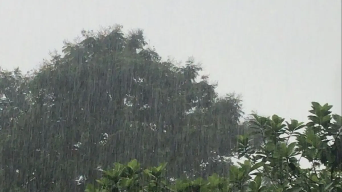 കനത്ത മഴ പെയ്യാൻ, Kerala Rain Alert Yellow Alert, Central Meteorological Department Forecast, Monsoon Arrival Kerala 2026, Thunderstorm Warning Disaster Management.
