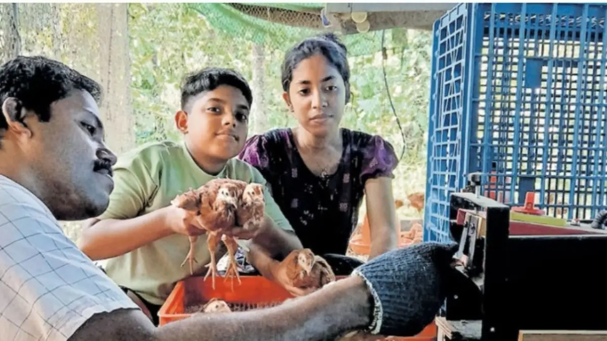 മണ്ണ് പൊന്നാക്കി മനു, സമ്മിശ്ര കൃഷി വിജയം, മനു തോമസ് കർഷകൻ, കുരുമുളക് കൃഷി, കേരള കാർഷിക വാർത്തകൾ