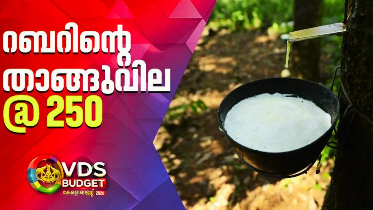 കേരള ബജറ്റിൽ റബർ താങ്ങുവില