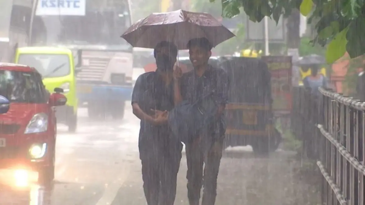 കുടയുടെ കഥ