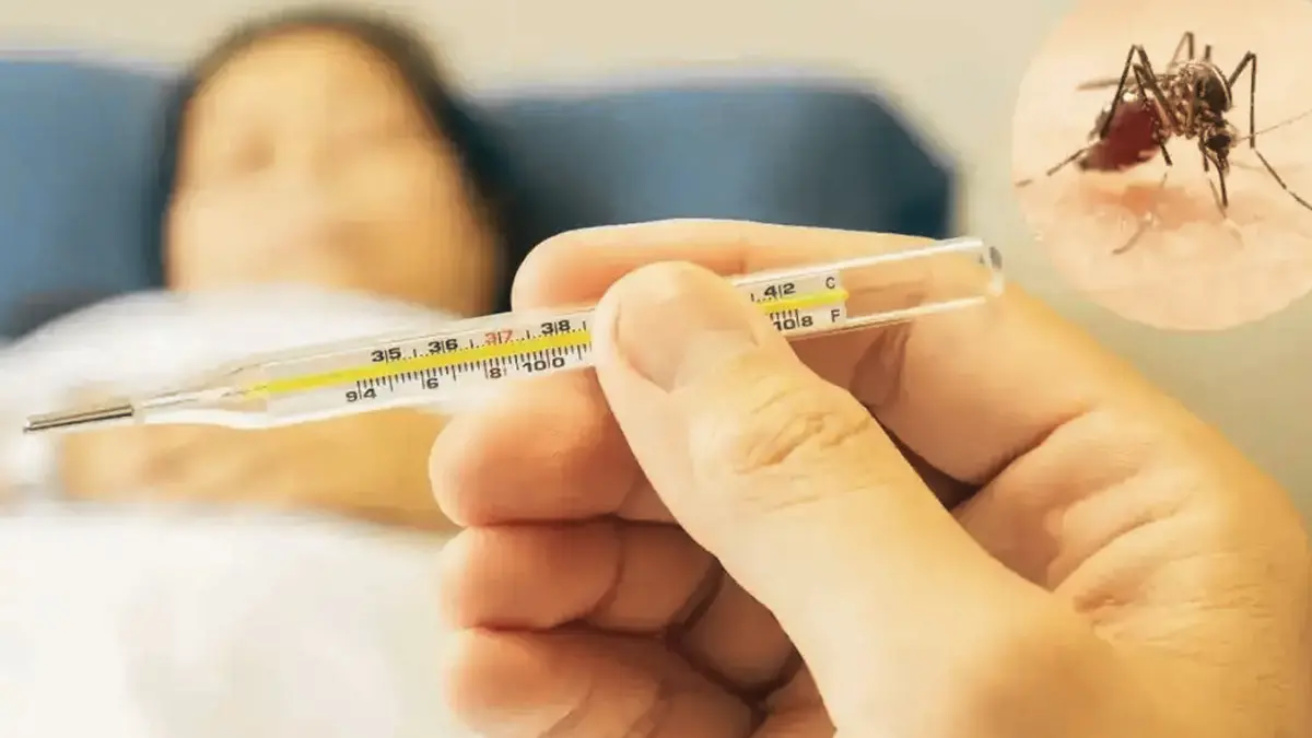 സംസ്ഥാനത്ത് ഡെങ്കിപ്പനി വ്യാപകമാകുന്നു, കേരളത്തിലെ പനി ബാധ, ഡെങ്കിപ്പനി ലക്ഷണങ്ങൾ, വെസ്റ്റ് നൈൽ പനി കേരളം, ആരോഗ്യ വകുപ്പ് ജാഗ്രതാ നിർദ്ദേശം