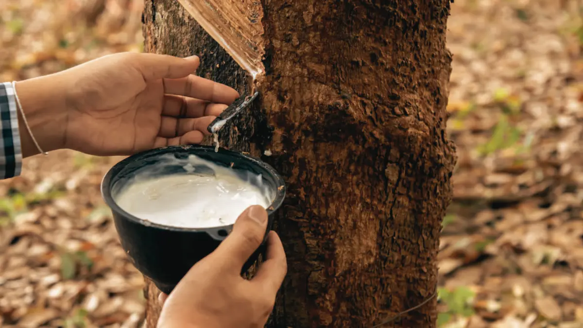 വയനാട്ടിൽ കാട്ടാന ആക്രമണത്തിൽ, കാട്ടിക്കുളം വന്യമൃഗശല്യം, മാനന്തവാടി മെഡിക്കൽ കോളേജ് പ്രതിഷേധം, വെള്ളാഞ്ചേരി രാജു മരണം, കേരള വനംവകുപ്പ് വാർത്തകൾ 2026
