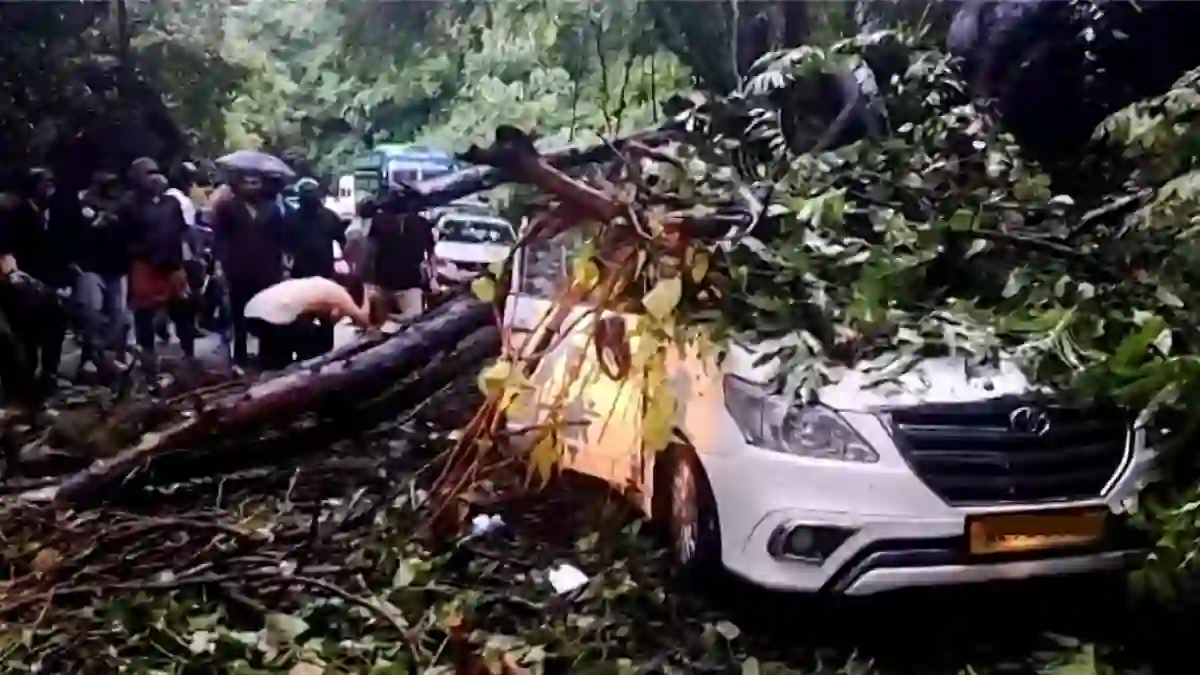 താമരശ്ശേരി ചുരത്തിൽ ഓടിക്കൊണ്ടിരുന്ന കാറിന് മുകളിലേക്ക് മരം ഒടിഞ്ഞുവീണുണ്ടായ അപകടം